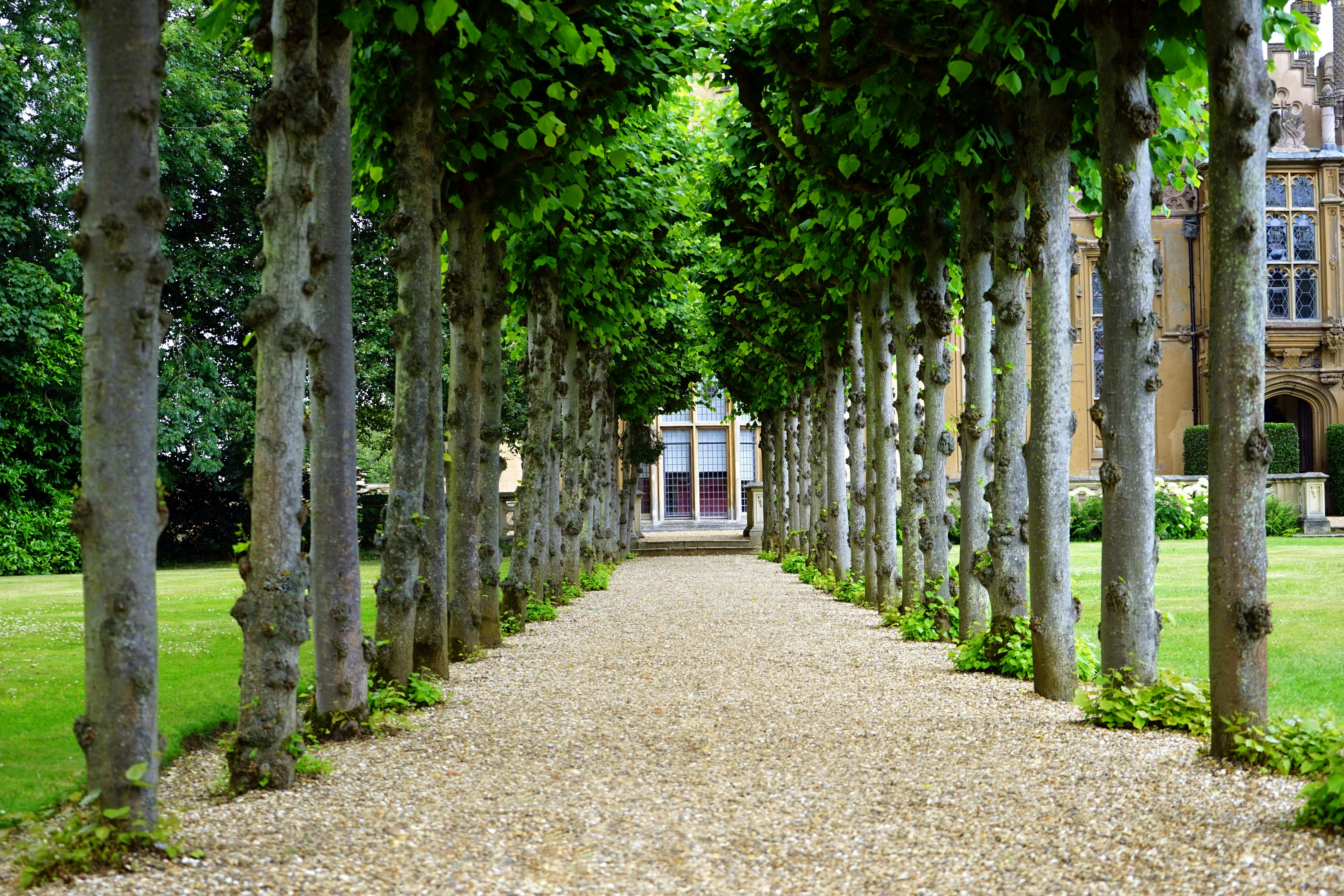 Garden Pathway Installation Services